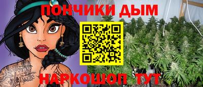 бошки Дубна