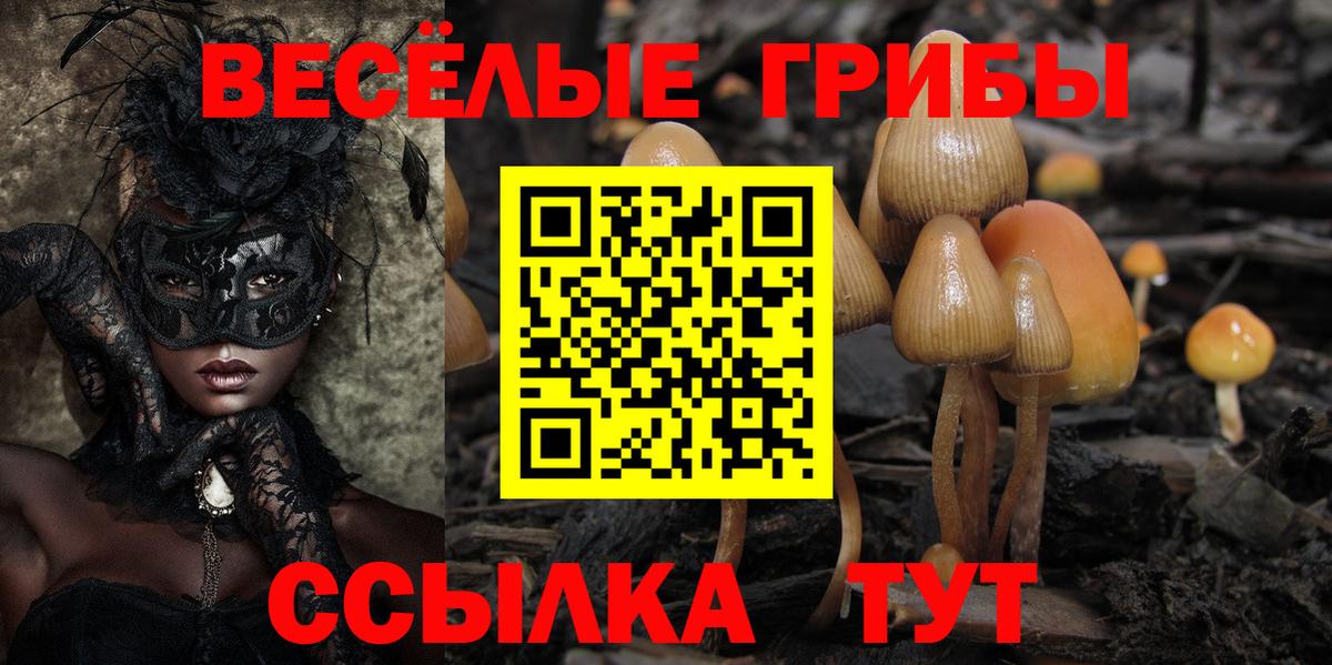 Псилоцибиновые грибы GOLDEN TEACHER  Галлюциногенные грибы ЛСД  Вход с VPN  Заречный 